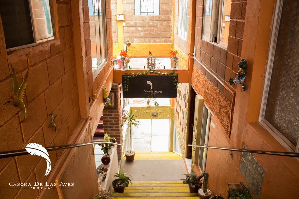 Hotel Casona De Las Aves 瓜纳华托 外观 照片